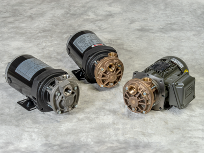 T31 Series Regenerative Turbine Pumps