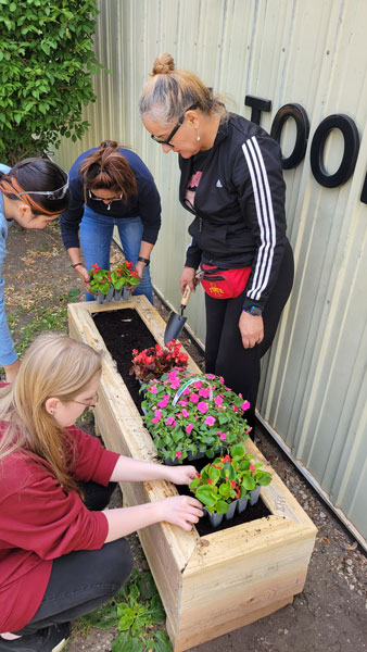 Re-purposing shipping crates into raised flowerbeds